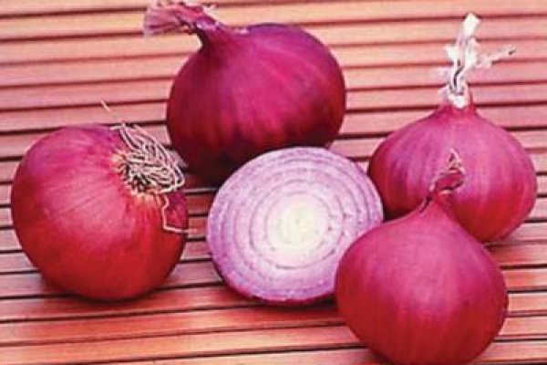 Новый адрес kraken на onion